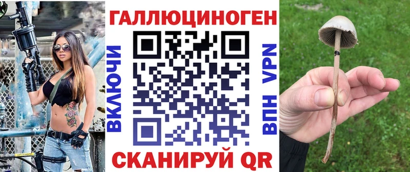 продажа наркотиков Демидов Галлюциногенные грибы Psilocybine cubensis